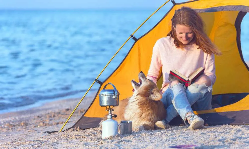 Go Camping With Corgis: Are Corgis Good Camping Dogs? - Corgi Care